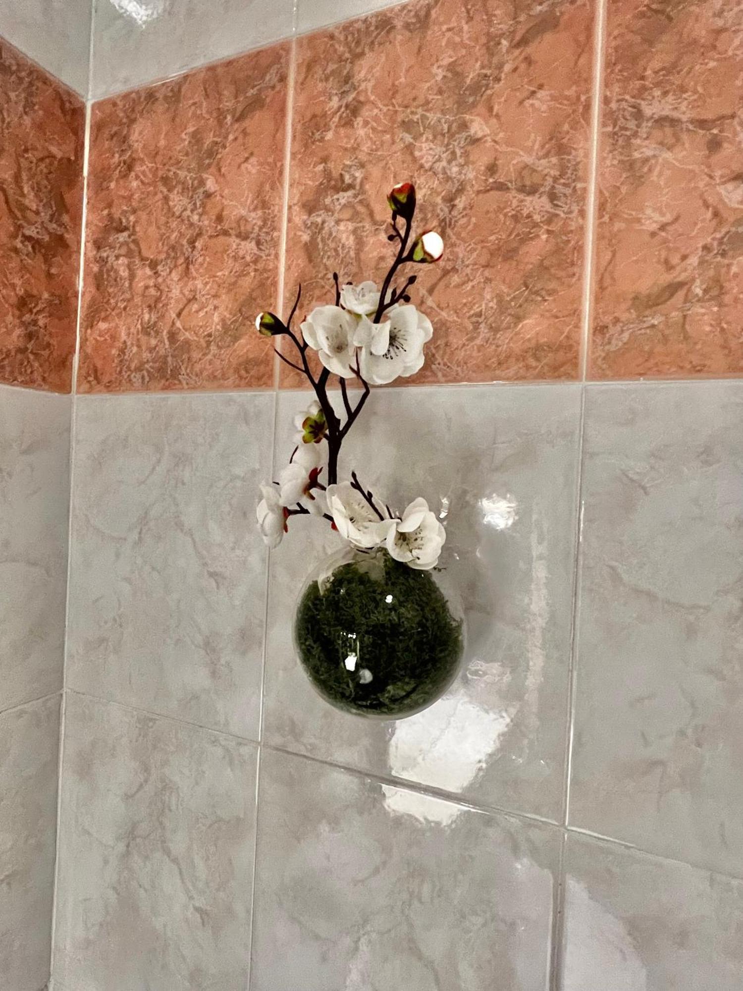Apartment Olivova